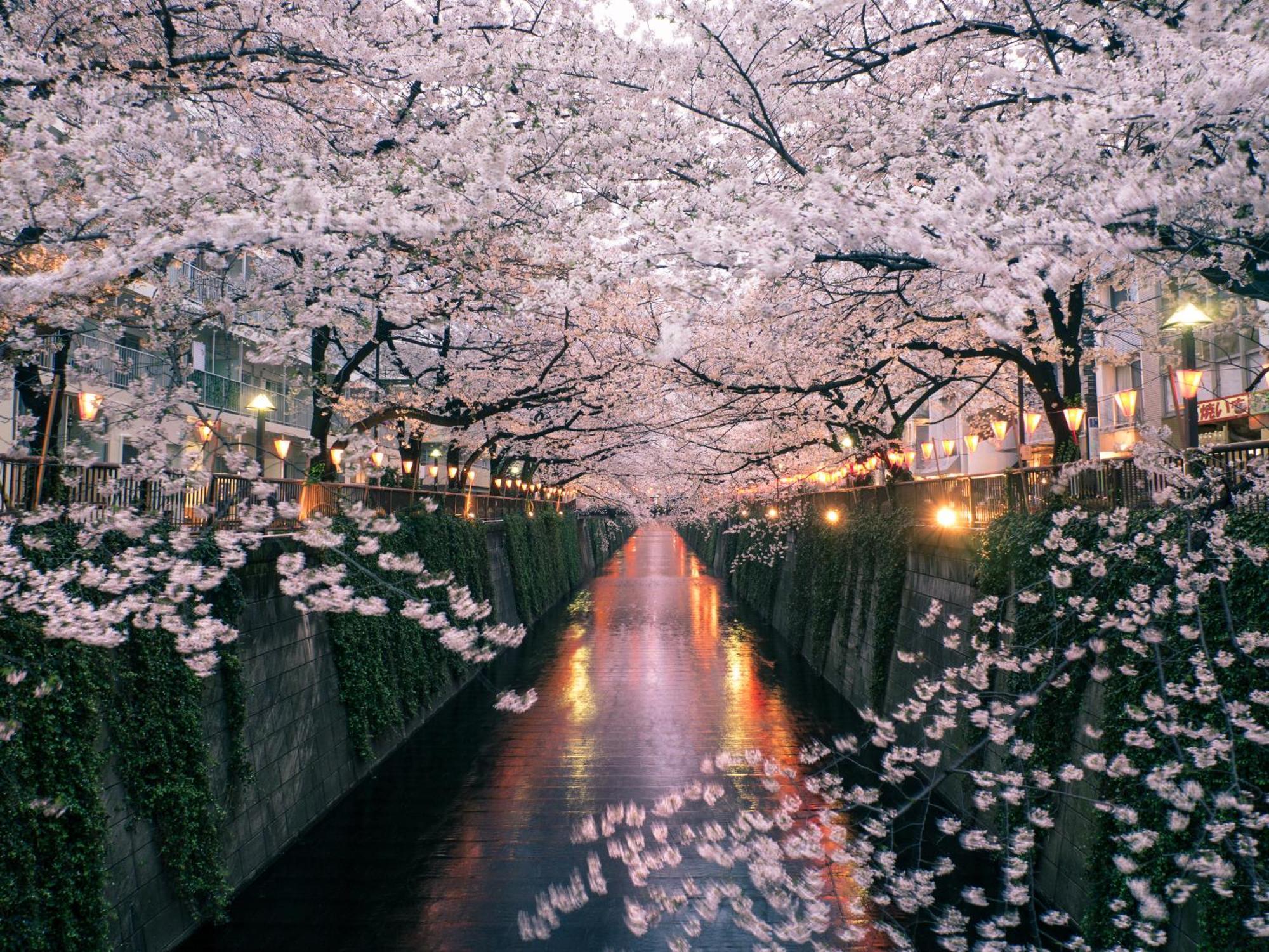 The Westin Tokyo, Tokyo